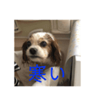 我が家のめる（個別スタンプ：2）
