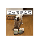 我が家のめる（個別スタンプ：3）