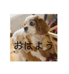 我が家のめる（個別スタンプ：5）