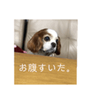 我が家のめる（個別スタンプ：6）