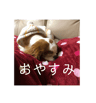 我が家のめる（個別スタンプ：7）
