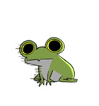 ぴよんちのカエル（個別スタンプ：5）