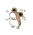 ぴよんちのカエル（個別スタンプ：14）