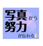 写真に一言申す（個別スタンプ：1）