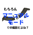 写真に一言申す（個別スタンプ：22）