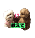 ナラファミリー3（個別スタンプ：4）