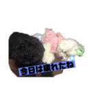 ナラファミリー3（個別スタンプ：7）