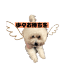 ナラファミリー3（個別スタンプ：8）