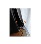 ねこのボウタロウすたんぷ（個別スタンプ：8）
