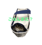 食いしん坊 マロン（個別スタンプ：2）