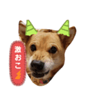 ハチの1日（個別スタンプ：2）