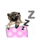 我が家の珍犬（個別スタンプ：3）