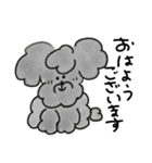 ゆるかわトイプー3兄弟！（個別スタンプ：1）