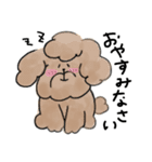 ゆるかわトイプー3兄弟！（個別スタンプ：11）
