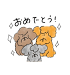 ゆるかわトイプー3兄弟！（個別スタンプ：30）