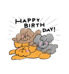 ゆるかわトイプー3兄弟！（個別スタンプ：31）