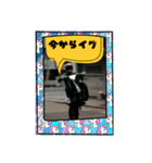 豆熊安達（個別スタンプ：6）