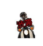 豆熊安達（個別スタンプ：8）