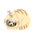 モカココ タウン（個別スタンプ：3）