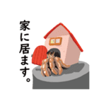 我が家のヤドカリさん（個別スタンプ：15）