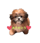 キッズスタンプ！すぎ一家（個別スタンプ：1）