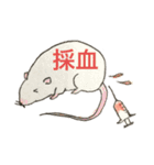 アニマル外科医（個別スタンプ：23）