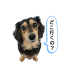 MOMOSUKEの日常編（個別スタンプ：2）