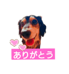 MOMOSUKEの日常編（個別スタンプ：6）