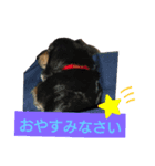 MOMOSUKEの日常編（個別スタンプ：8）