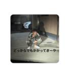 ばんこしゅええで？（個別スタンプ：6）