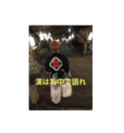 ばんこしゅええで？（個別スタンプ：8）