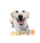詩音(しおん)第1弾（個別スタンプ：1）