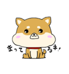 ハムしばのスタンプ（個別スタンプ：1）