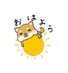 ハムしばのスタンプ（個別スタンプ：4）