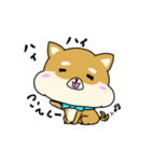 ハムしばのスタンプ（個別スタンプ：5）