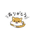 ハムしばのスタンプ（個別スタンプ：10）
