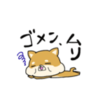 ハムしばのスタンプ（個別スタンプ：11）