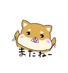 ハムしばのスタンプ（個別スタンプ：14）