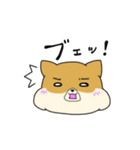 ハムしばのスタンプ（個別スタンプ：16）
