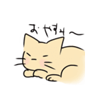 猫がいる部屋（個別スタンプ：5）