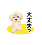 動く！かわいい犬のマルちゃん（個別スタンプ：9）