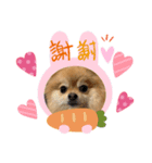 Roiくん(34才)（個別スタンプ：5）