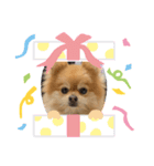 Roiくん(34才)（個別スタンプ：6）