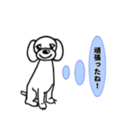 元気で明るい白犬スタンプ（個別スタンプ：28）