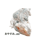 しゅーぼんのペット（個別スタンプ：2）