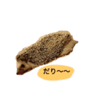 しゅーぼんのペット（個別スタンプ：5）