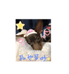 マリン❤️ノア❤️ロイ❤️1（個別スタンプ：2）