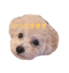 はまだ家のプティ君（個別スタンプ：5）