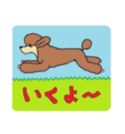 スタンダードプードルイケパラ（個別スタンプ：9）