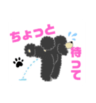 スタンダードプードルイケパラ（個別スタンプ：12）